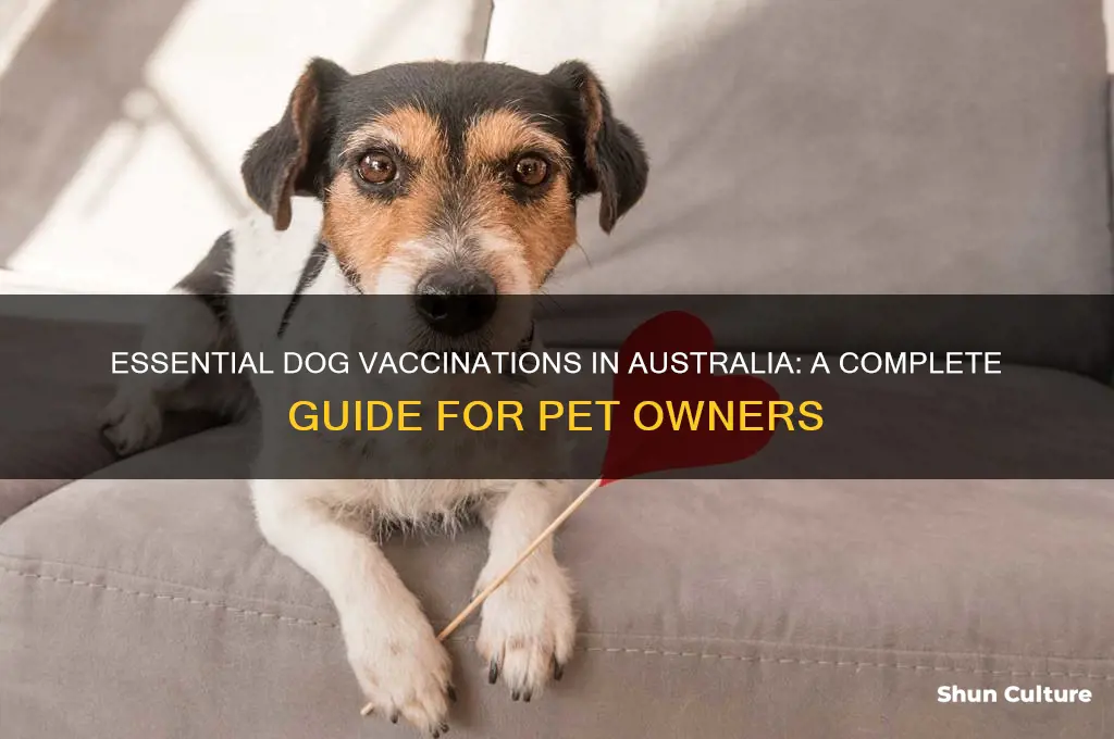 how many vaccinations do dogs need australia