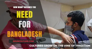 Essential Vaccines for Bangladesh: A Comprehensive Travel Health Guide