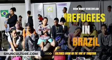 Venezuelan Refugees in Brazil: Understanding the Growing Crisis and Numbers