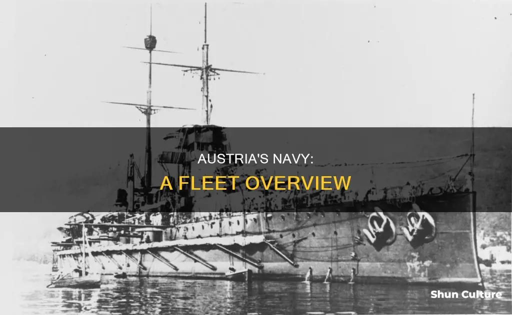 how many vessels are in the austrian navy