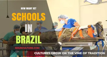 Exploring Brazil's Veterinary Education: Counting the Number of Vet Schools