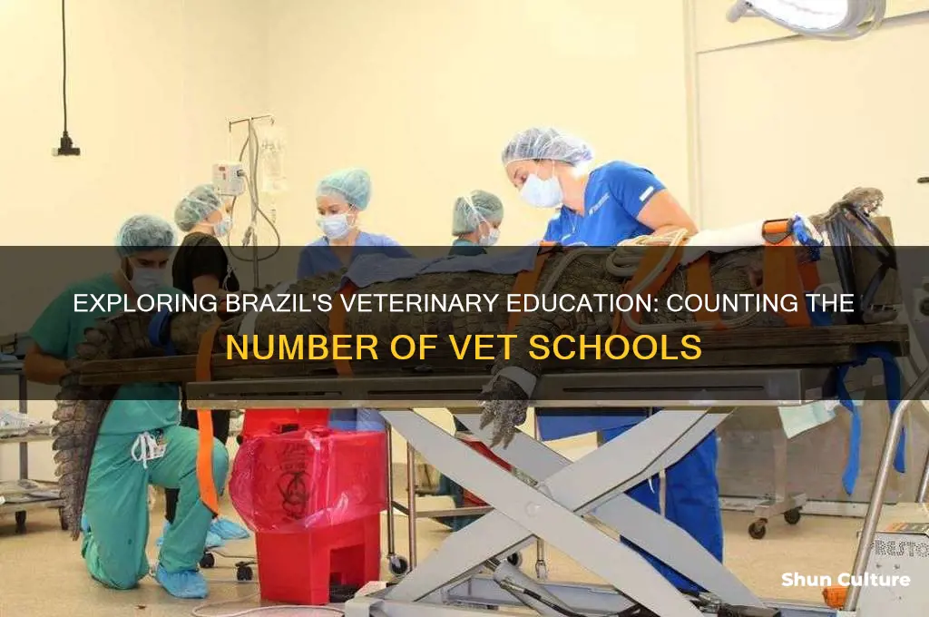 how many vet schools in brazil