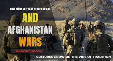 Veteran Legacies: A Comprehensive Look at the Iraq and Afghanistan Wars' Human Toll