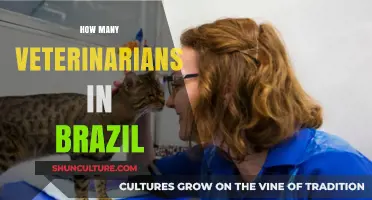 Exploring Brazil's Veterinary Workforce: Numbers and Insights Revealed