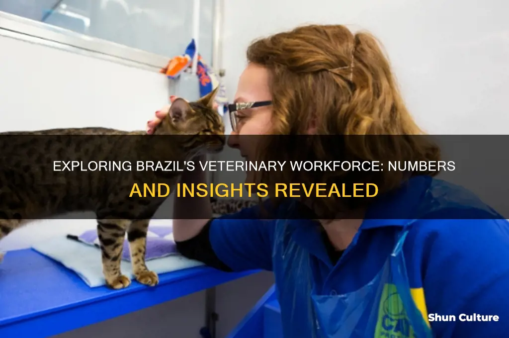 how many veterinarians in brazil