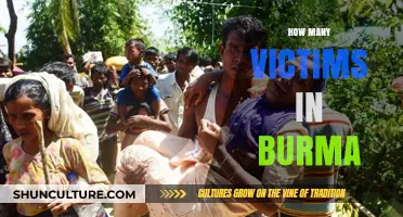 Unveiling the Human Cost: Burma's Victims in the Shadows
