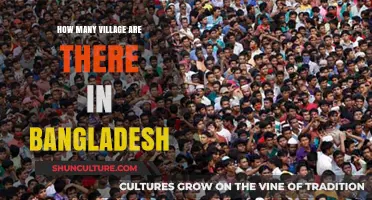 Exploring Bangladesh: Unveiling the Total Number of Villages Nationwide