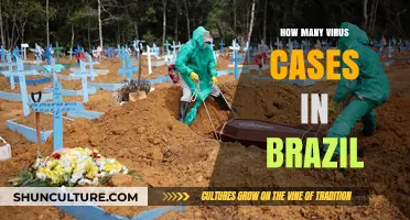 Brazil's COVID-19 Surge: Tracking Virus Cases and Trends