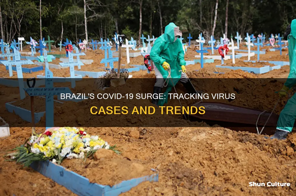 how many virus cases in brazil