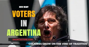 Exploring the Electorate: A Deep Dive into Argentina's Voter Demographics