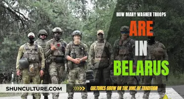 Wagner Group's Belarus Troop Presence: Analyzing Numbers