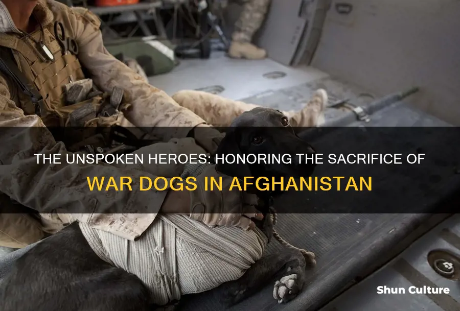 how many war dogs have been killed in afghanistan