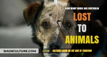 Wars Down Under: Animals vs. Aussies