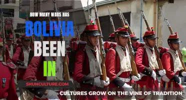 Bolivia's History: Wars and Conflicts