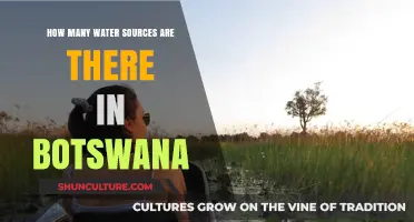 Exploring Botswana's Diverse Water Sources: A Comprehensive Overview