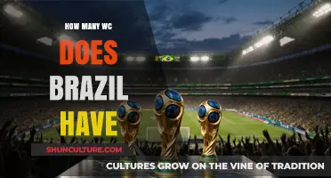 Brazil's World Cup Triumphs: Counting the Nation's Historic Wins