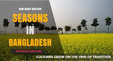 Exploring Bangladesh's Unique Weather Seasons and Their Characteristics