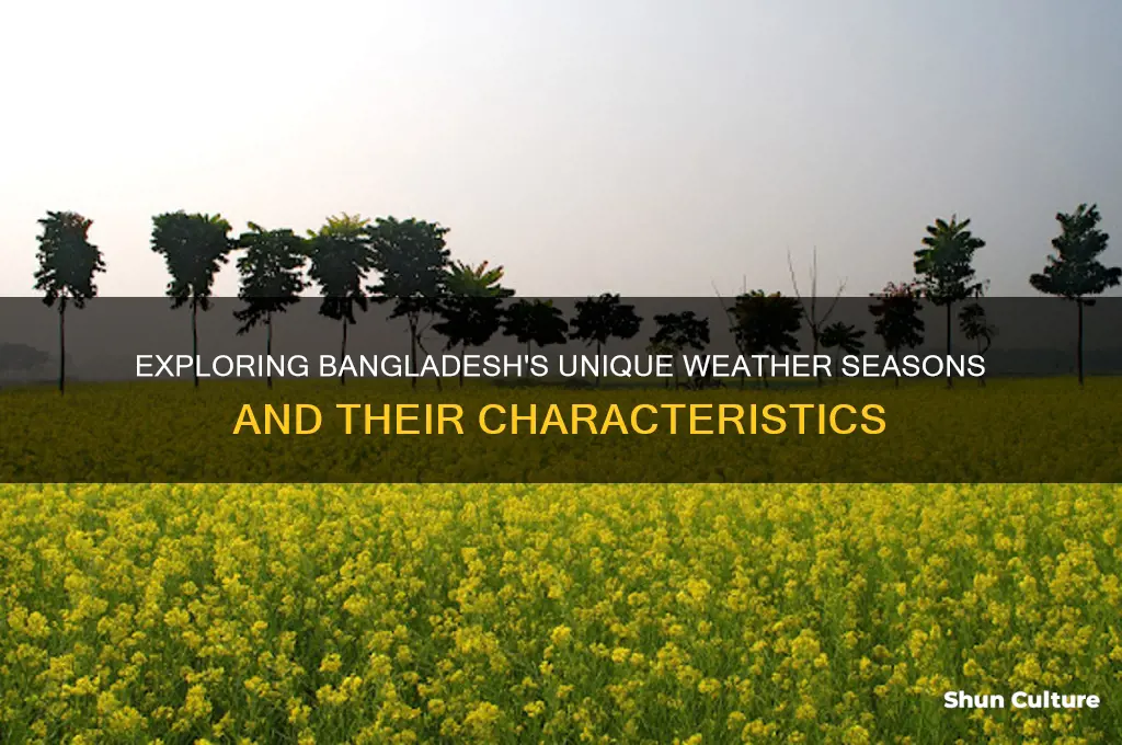 how many weather seasons in bangladesh