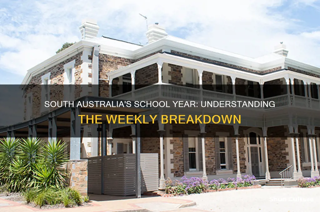 how many weeks in a school year south australia