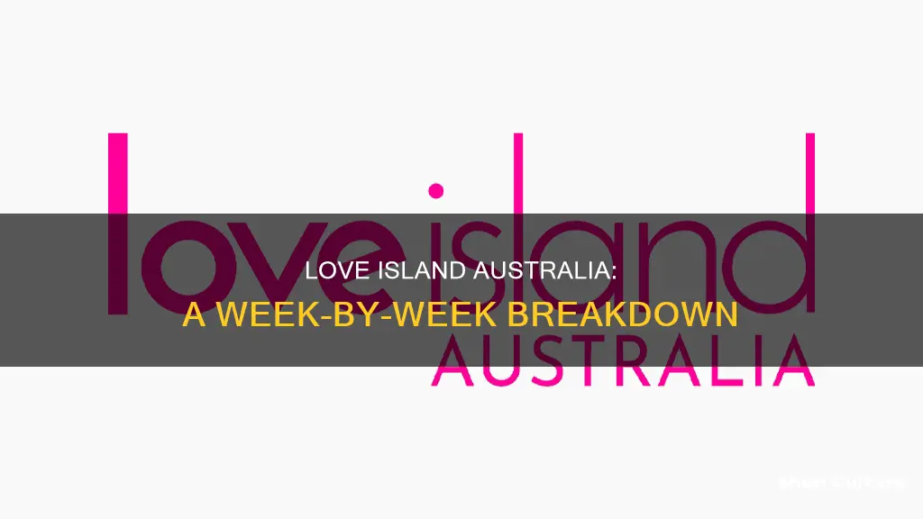 how many weeks in love island australia