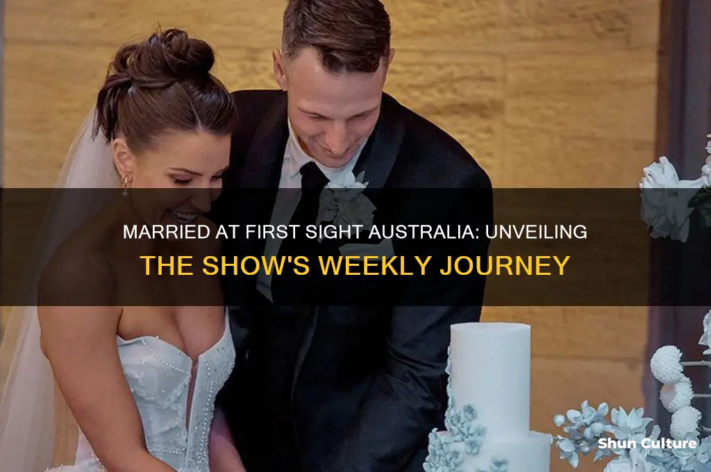 how many weeks is married at first sight australia