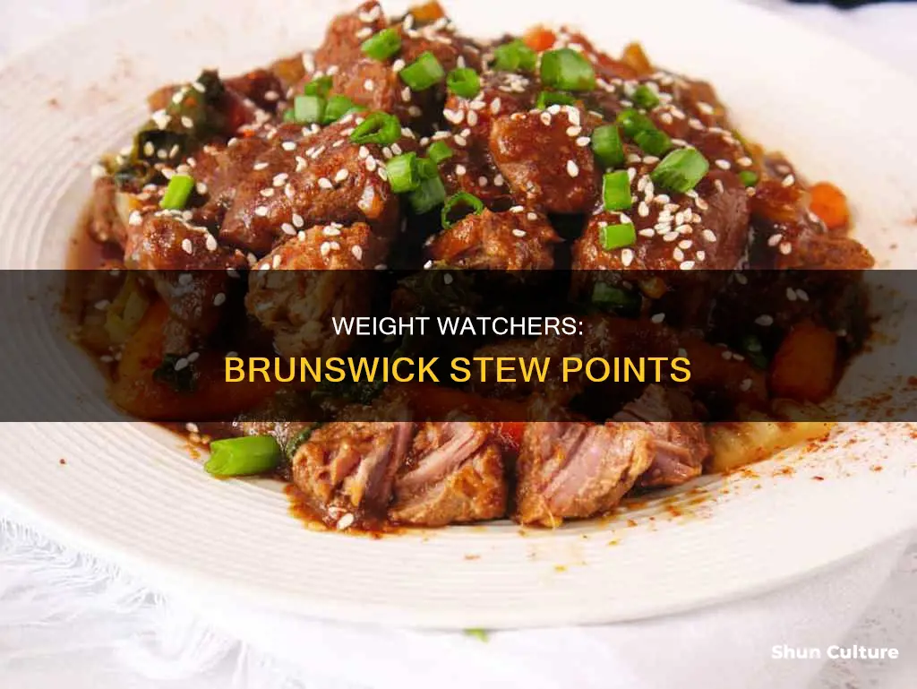 how many weight watchers points in brunswick stew