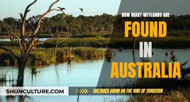 Wetlands of Australia: A Comprehensive Overview