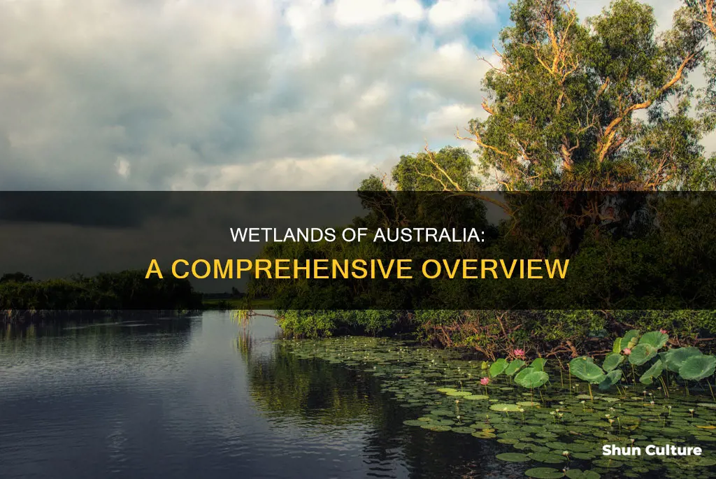 how many wetlands are found in australia