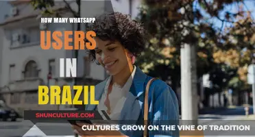 WhatsApp's Dominance in Brazil: Unveiling the Massive User Base