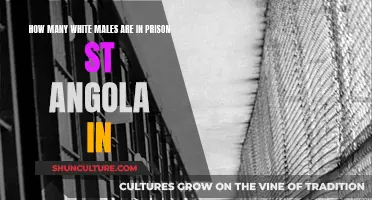 White Males in Prison: Angola's Stark Reality