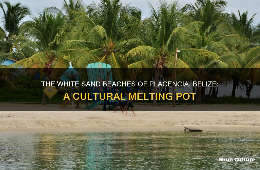 how many white people are in placencia belize