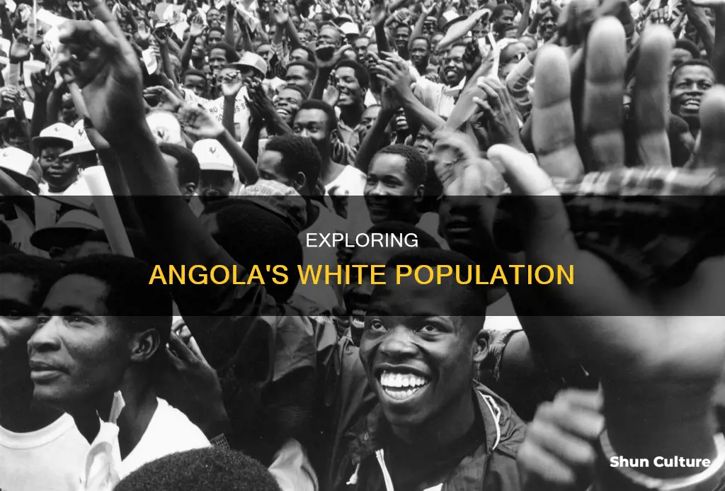 how many white people live in angola africa