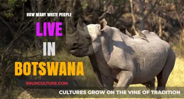 Exploring Botswana's Demographics: White Population Insights and Trends