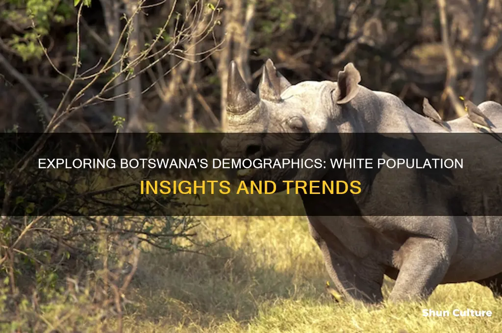 how many white people live in botswana