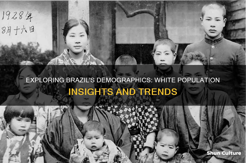 how many white people live in brazil