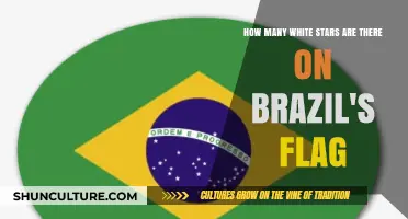 Brazil's Flag: Unveiling the Mystery of Its White Stars