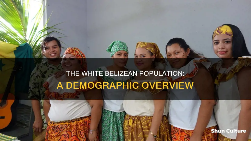 how many whites live in belize