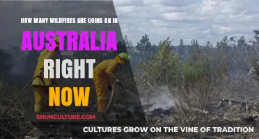 Current Wildfire Situation in Australia: Active Blazes and Updates
