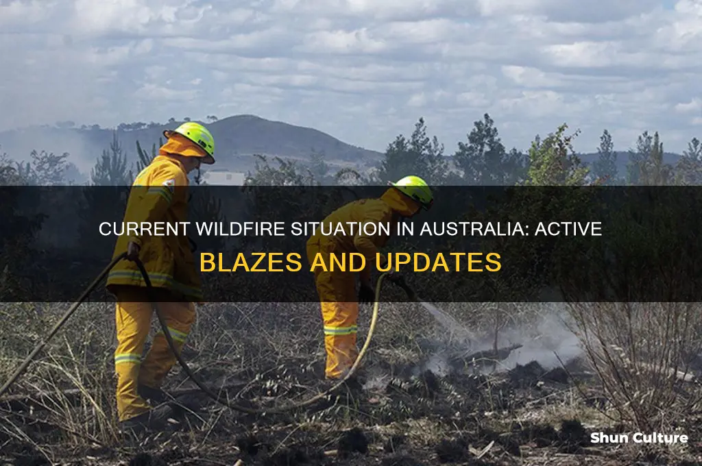 how many wildfires are going on in australia right now