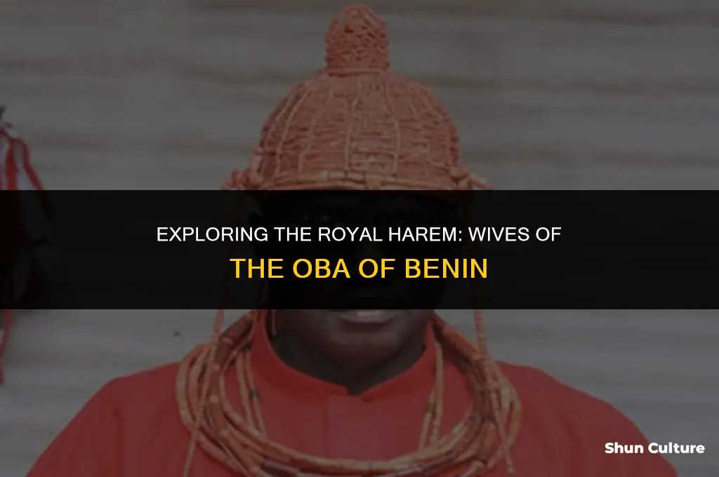 how many wives does oba of benin have