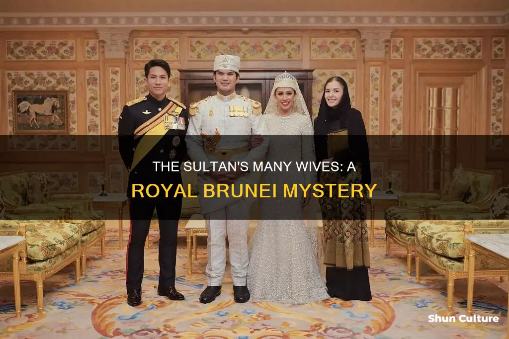 how many wives does the sultan of brunei have