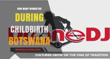 Botswana's Maternal Mortality Crisis: Understanding Childbirth-Related Deaths