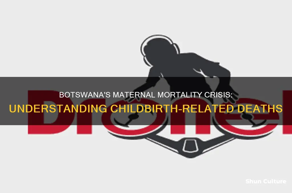 how many women die during childbirth botswana