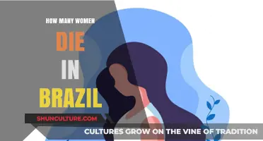 Brazil's Maternal Mortality Crisis: Understanding Women's Fatalities and Causes