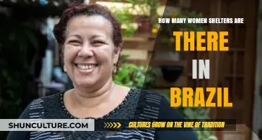 Women Shelters in Brazil: Counting Safe Havens for Survivors