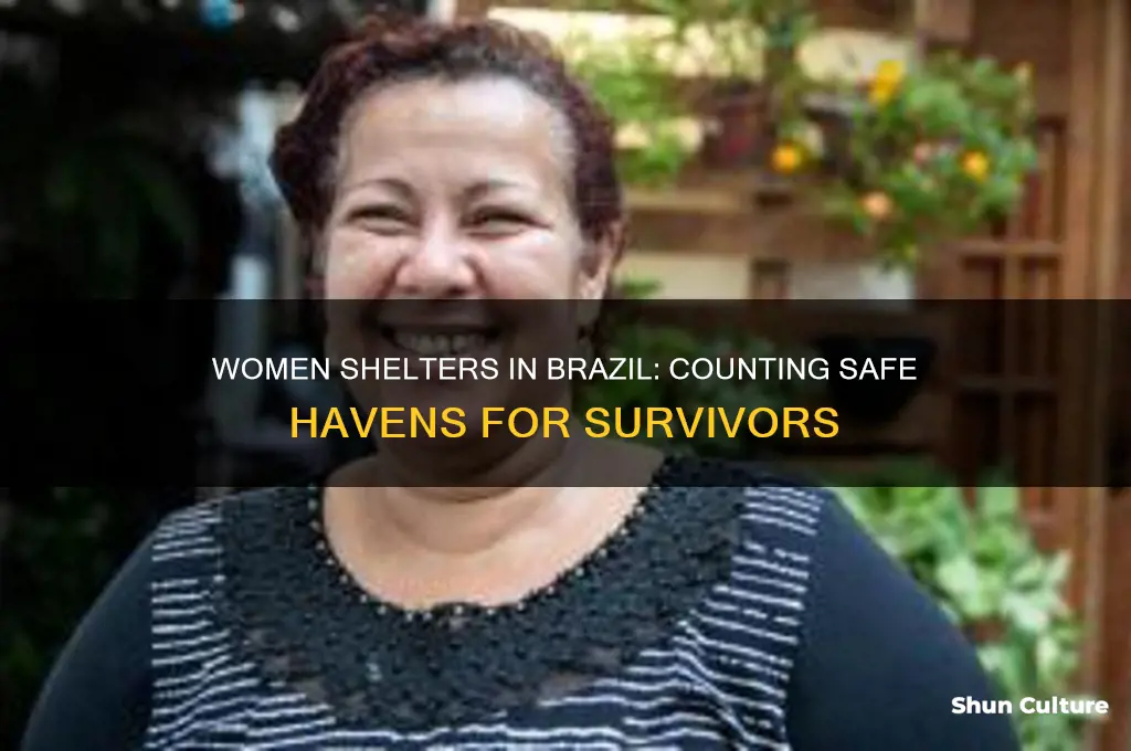how many women shelters are there in brazil