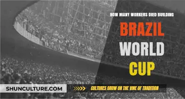 Brazil World Cup Construction: Uncovering the Human Cost of Lives Lost