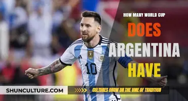 Triumphs of the Albiceleste: Argentina's World Cup Victories