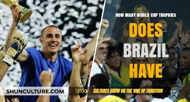 Brazil's World Cup Legacy: Counting the Trophies of Victory