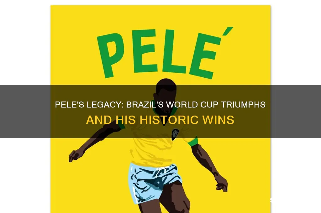 how many world cups did pelewin brazil